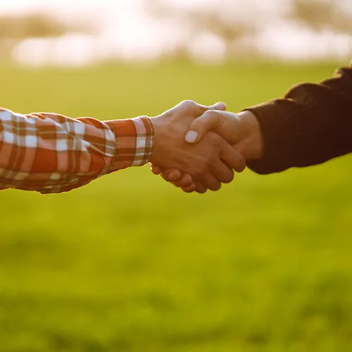 hand shake
